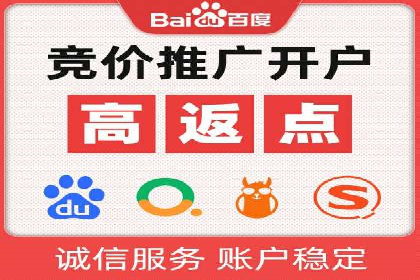 SEM广告投放的创意与执行：成功案例剖析